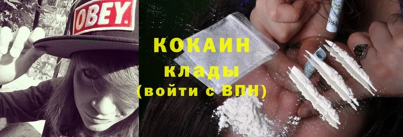 Cocaine Fish Scale  наркота  Узловая 