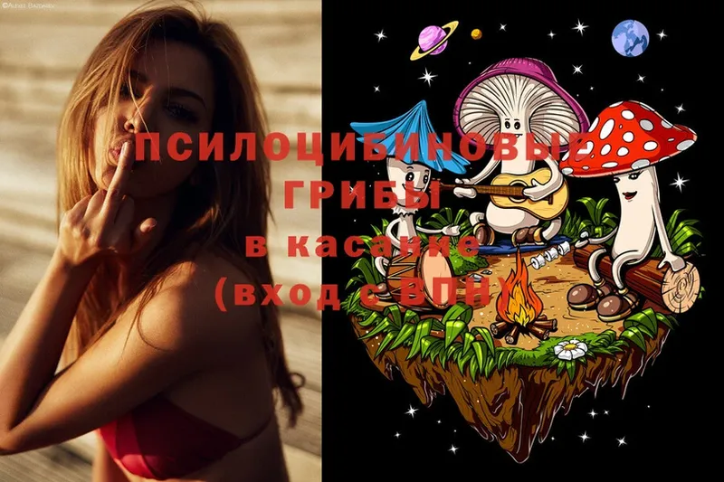 кракен как зайти  Узловая  Галлюциногенные грибы Cubensis 